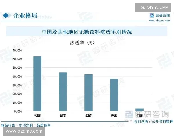 从青训到欧战崛起的亚特兰大足球俱乐部发展之路全景解析与未来